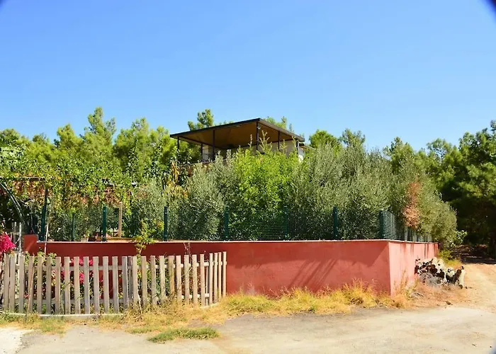 Ormanin Icinde Genis Havuzlu Triplex Villa