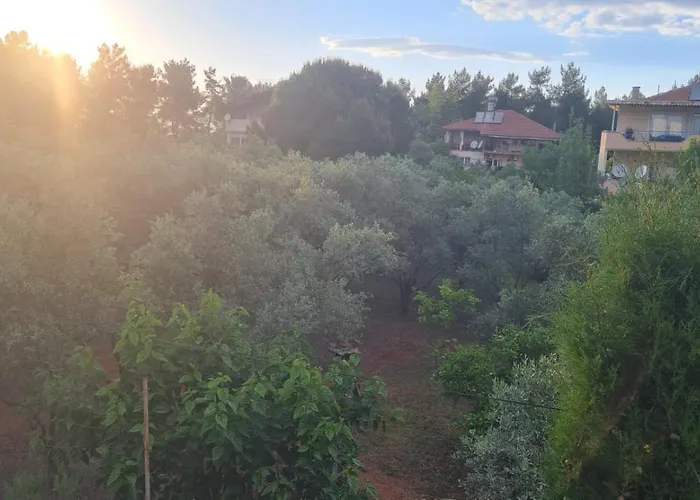 Gizli Bir Cennet